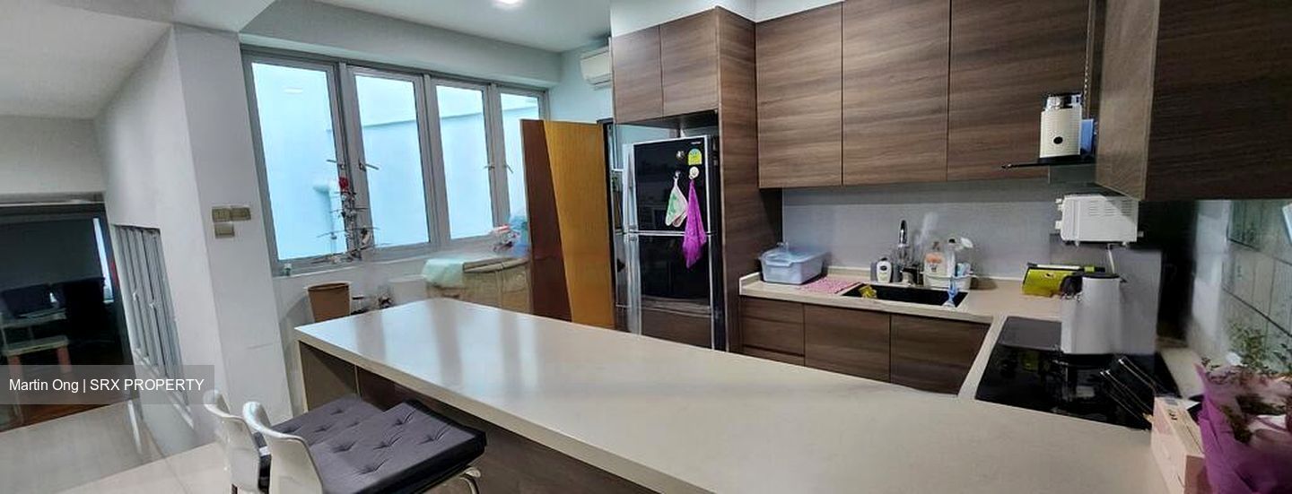 Rangoon Road (D8), Retail #456135721